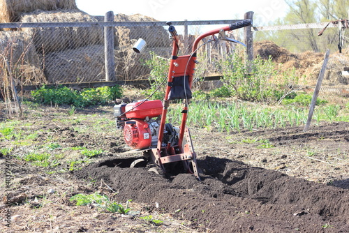 a red walk-behind tractor stands on plowed land, preparing a garden for planting plants and seedlings in spring photo