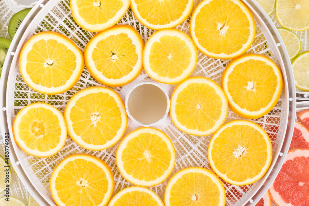citrus fruit slices lie in drying trays