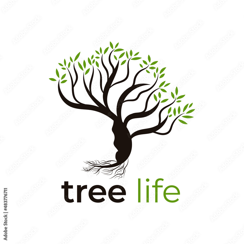 Obraz premium Tree life logo template