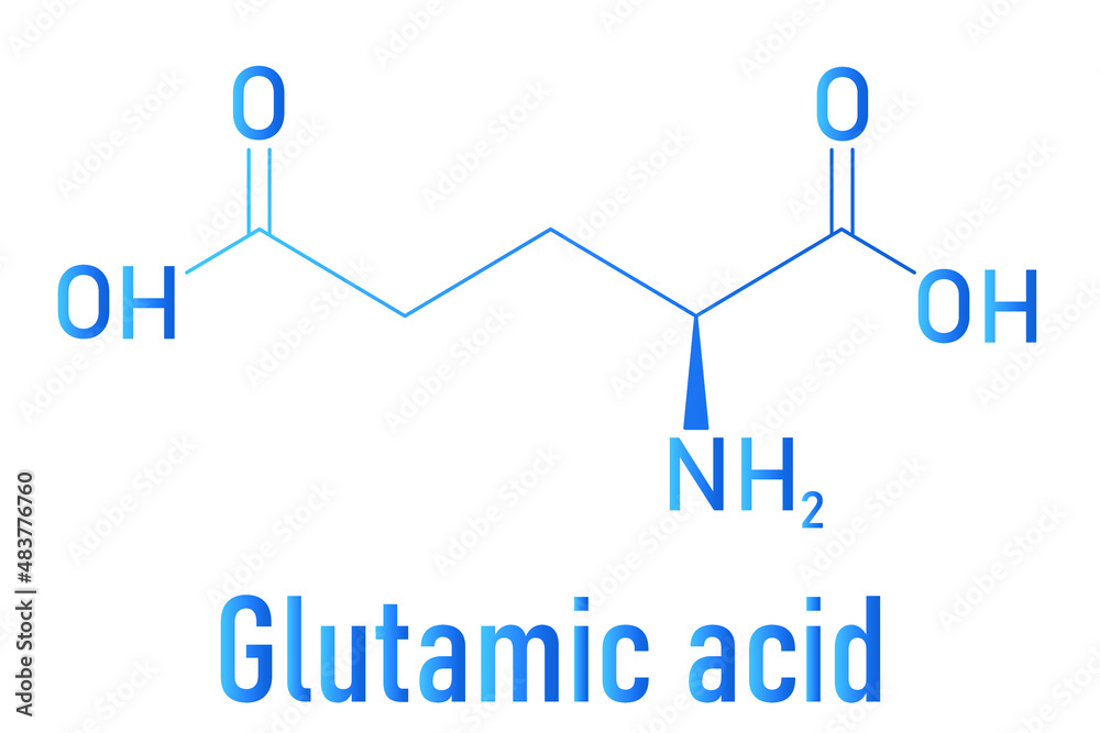 Glutamic acid or lglutamic acid, Glu, E, amino acid and