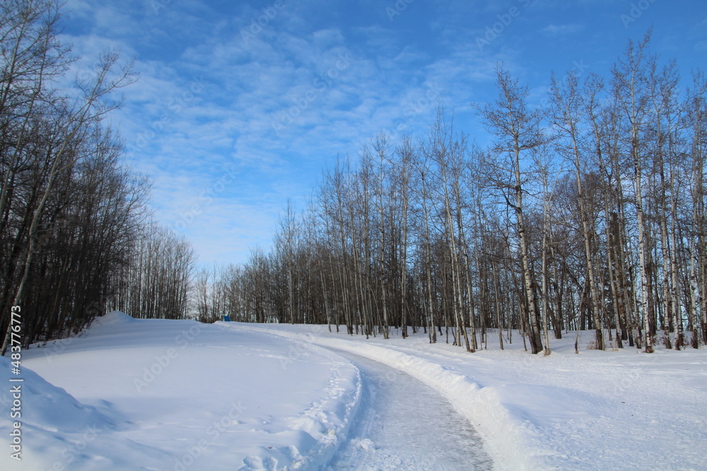 Snowy Path, Elk Island National Park, Alberta Snowy Path, Elk Island National Park, Alberta