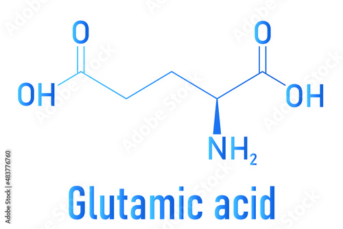 Glutamic acid or l-glutamic acid, Glu, E, amino acid and neurotransmitter molecule. Skeletal formula. photo