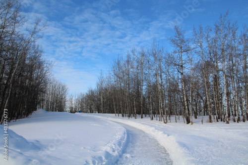 Snowy Path, Elk Island National Park, Alberta