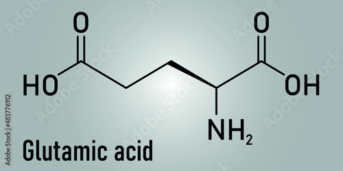 Glutamic acid or l-glutamic acid, Glu, E, amino acid and neurotransmitter molecule. Skeletal formula.