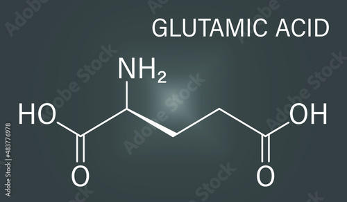 Glutamic acid or l-glutamic acid, Glu, E, amino acid and neurotransmitter molecule. Skeletal formula.