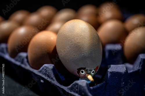 Pinocchio peeks out from an egg where he is hidden.