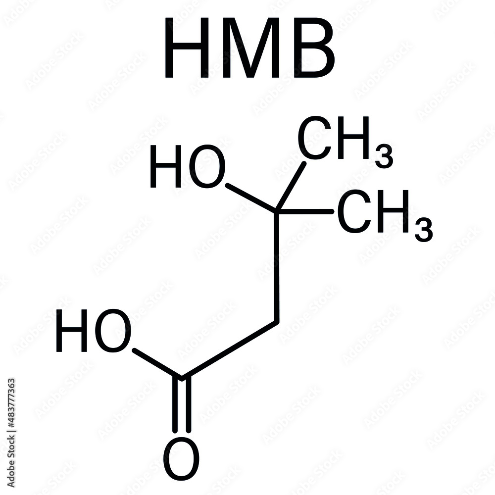 Beta-hydroxy beta-methylbutyric acid or HMB leucine metabolite molecule. Used as supplement, may increase strength and muscle mass. Skeletal formula. Beta-hydroxy beta-methylbutyric acid or HMB leucine metabolite molecule. Used as supplement, may increase strength and muscle mass. Skeletal formula.