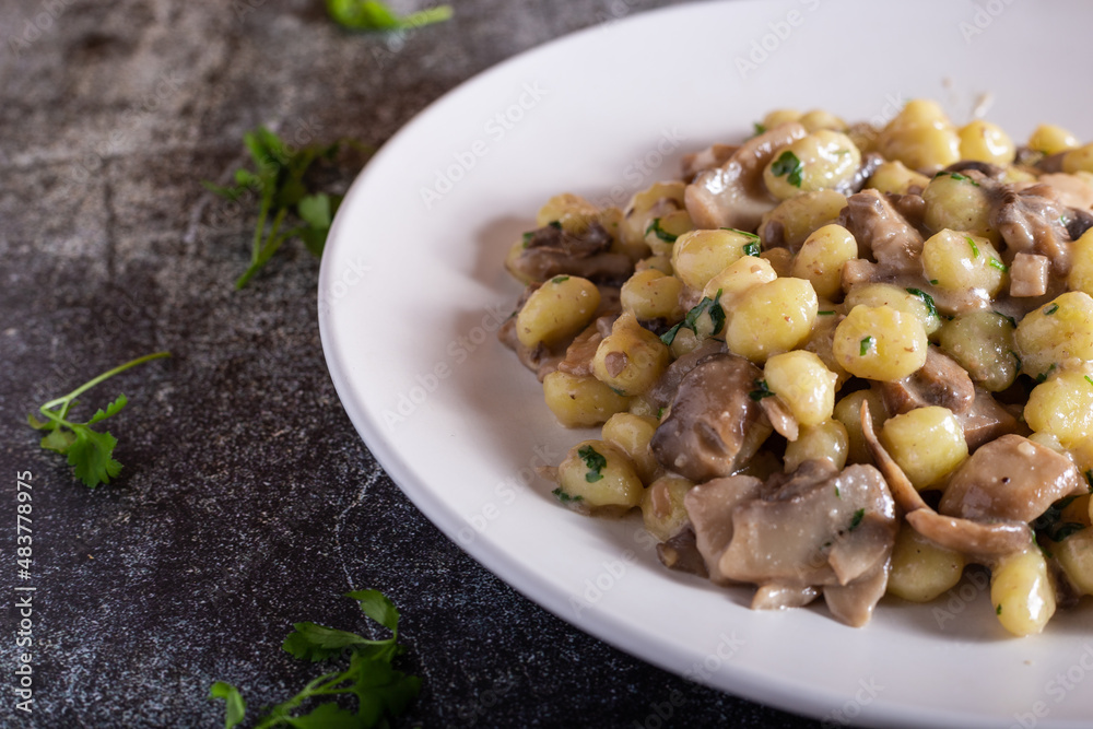 Creamy porcini mushroom gnocchi. Typical dish of Italian cuisine, suitable for a vegetarian diet Creamy porcini mushroom gnocchi. Typical dish of Italian cuisine, suitable for a vegetarian diet