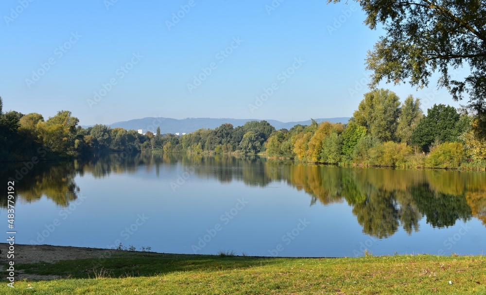 Fototapeta premium See-Bäume-Spiegelung