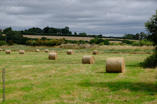 Topsham, Devon, UK. Hay bales stored in a field