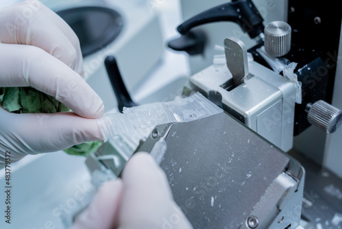 Laboratory assistant works on a rotary microtome section and making microscope slides photo