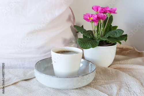 Cozy Easter, spring still life scene. Cup of coffee, grey knitted plaid, and pink primrose in a white porcelain pot. Vintage feminine-styled photo.