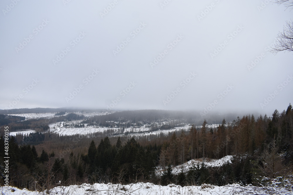 Berge-Winter-Wald