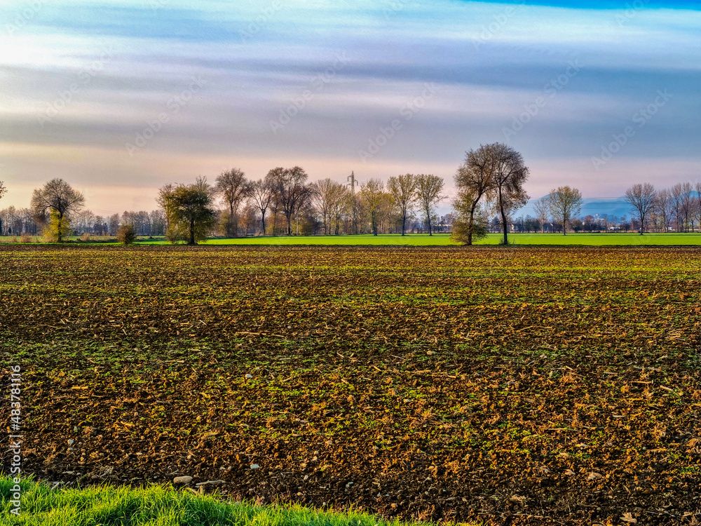 campi con alberi campi con alberi