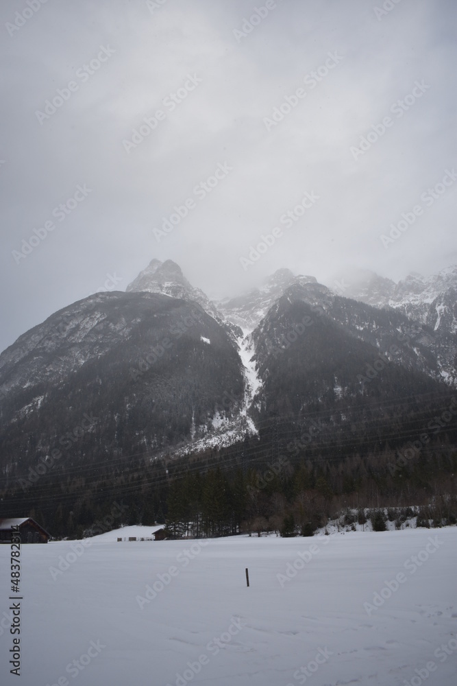 Obraz premium Alpen-Winter-Wald