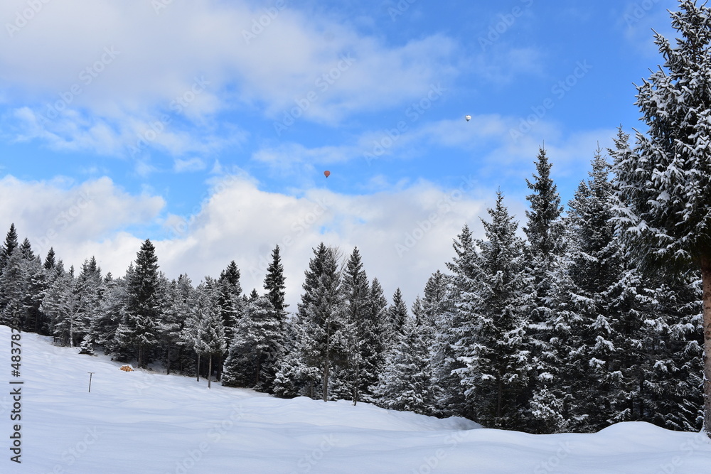 Alpen-Winter-Wald