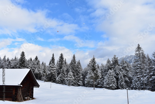 Alpen-Winter-Wald © Alexander
