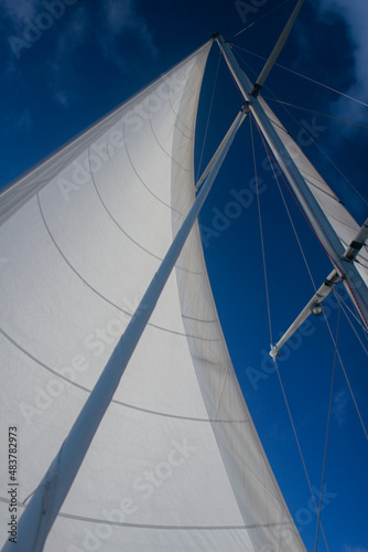 Looking up at Yacht Sail