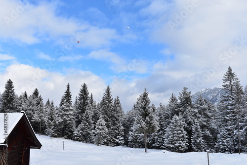 Alpen-Winter-Wald © Alexander