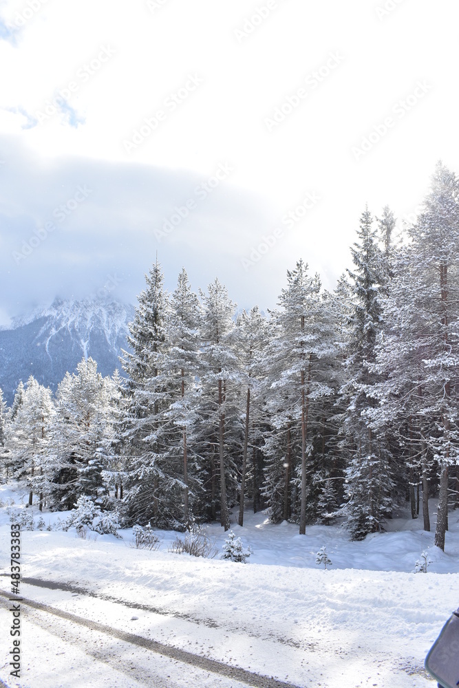 Obraz premium Alpen-Wälder-Winter