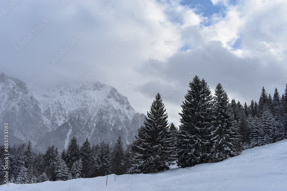 Alpen-Wälder-Winter