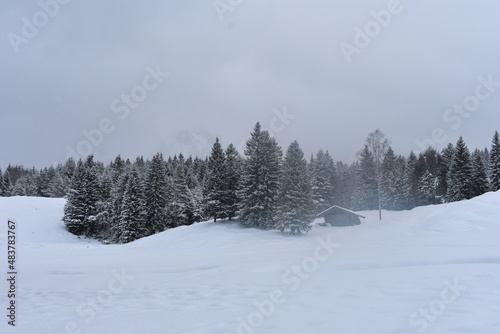 Alpen-Wälder-Winter © Alexander