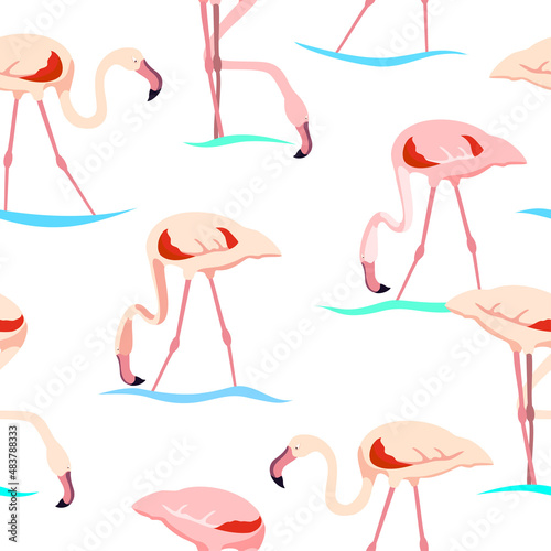 Flamingo. Seamless pattern vector
