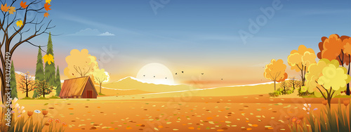 Autumn rural landscape in evening light with sunset, blue and orange sky background,Vector Cartoon fall season at countryside with forest tree and grass field with sunrise,Backdrop natural banner