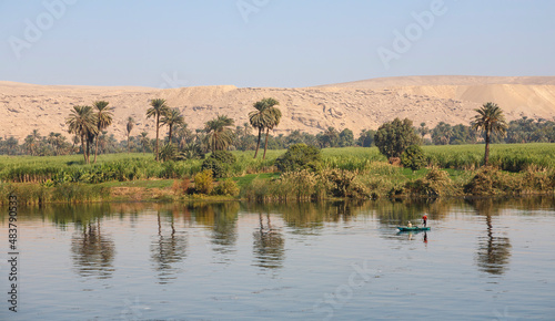 Vegetation am Nil, Ufer, Ägypten