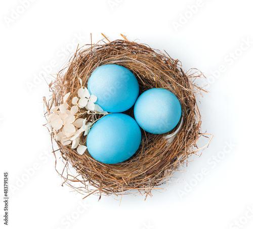 The nest with Easter pink eggs is isolated on a white background.