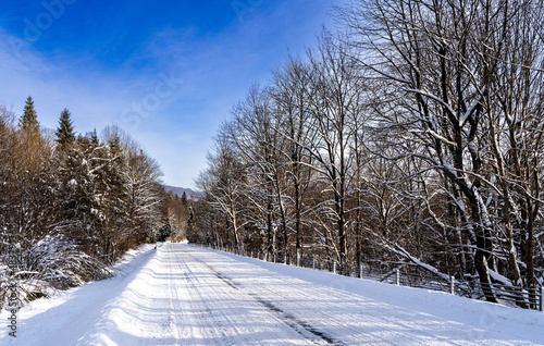 Fototapeta Naklejka Na Ścianę i Meble -  Bieszczady, Polska , połonina , góry, Karpaty