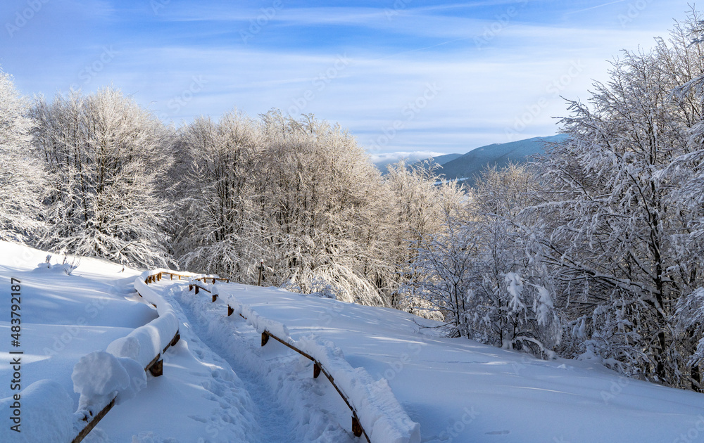 Obraz premium Bieszczady, Polska , połonina , góry, Karpaty