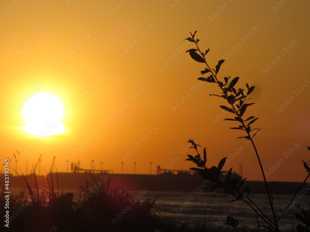 Obraz premium Afternoon sunset