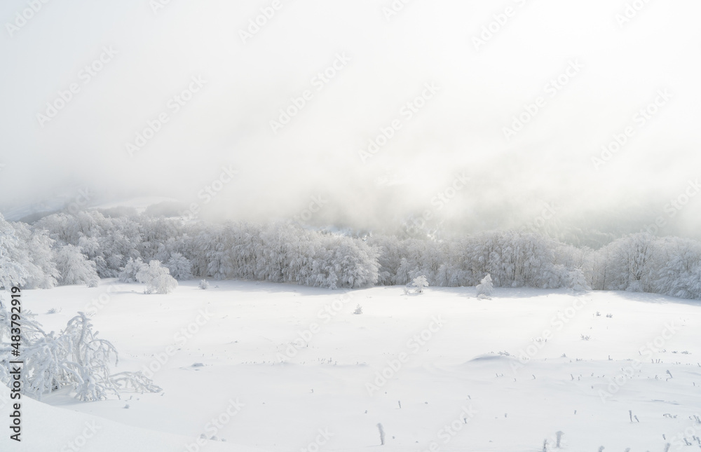 Bieszczady, Polska , połonina , góry, Karpaty