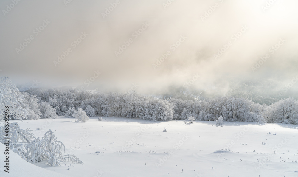 Bieszczady, Polska , połonina , góry, Karpaty Bieszczady, Polska , połonina , góry, Karpaty