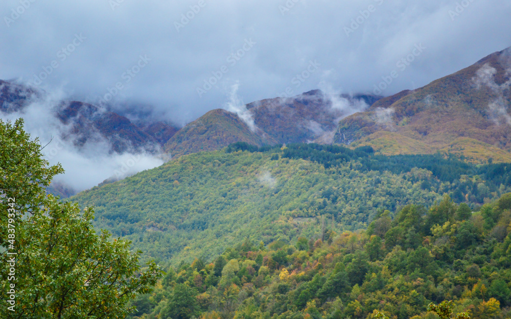 Autumn colors in the mountains. Clouds are covering the forest
