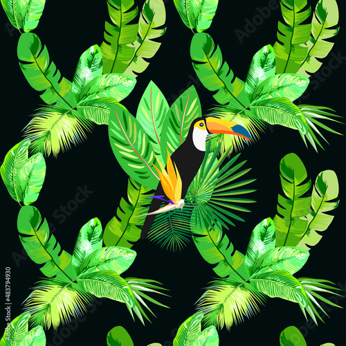 leaves and birds on black background
