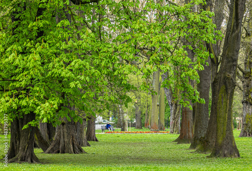 Marek Grechuta Krakow Park, Poland photo