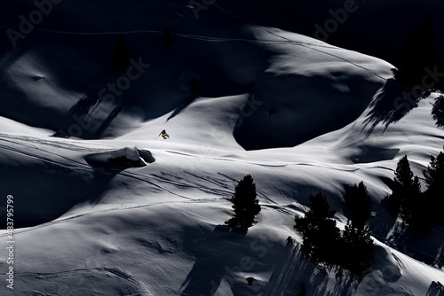 Canvas Print Ski freerider jumping on the snow