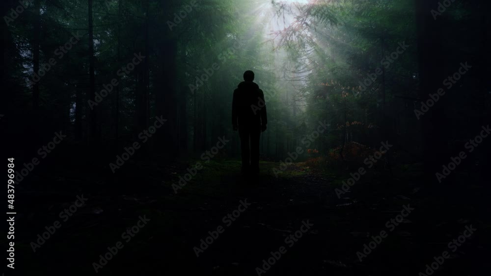 Dark person silhouette shadow stands on mystic forest path copy. Dark person silhouette shadow stands on mystic forest path copy.