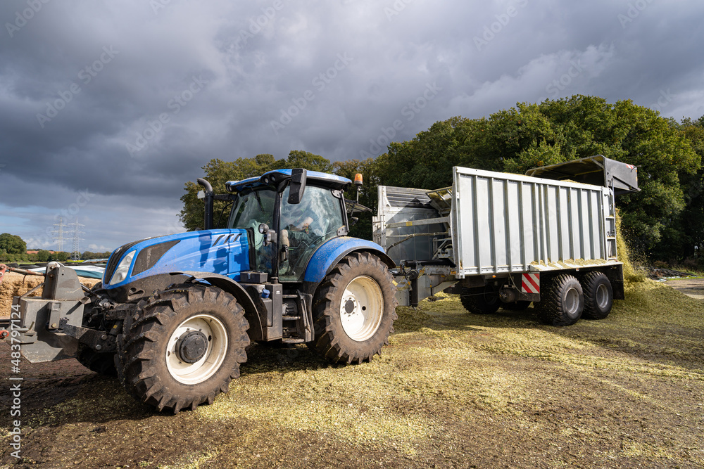 Obraz premium Anlieferung von Silagegut - Ein Anhänger wird direkt am Silagehaufen entleert.