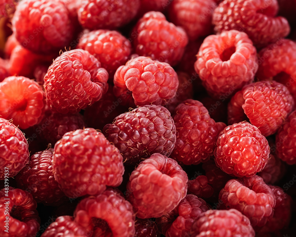Delicious first class fresh raspberries background closeup photo. Macro Photo Fresh red berries fruit background. Healthy food organic concept. Delicious first class fresh raspberries background closeup photo. Macro Photo Fresh red berries fruit background. Healthy food organic concept.