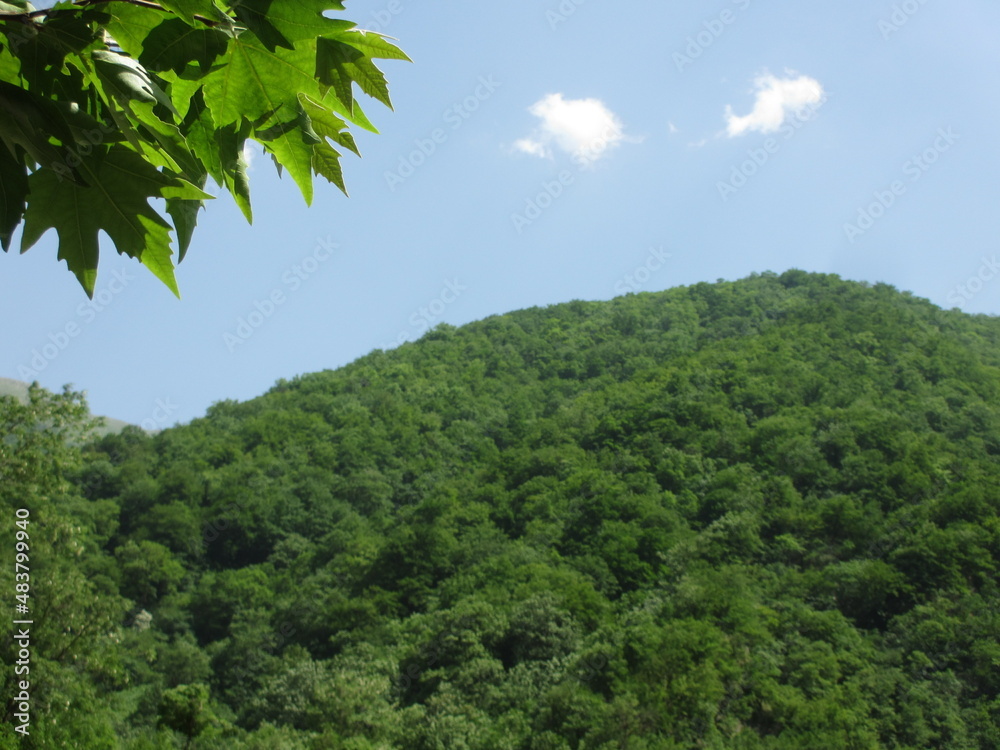 Obraz premium Lonely forest mountain. (These photos have not been tampered with.)