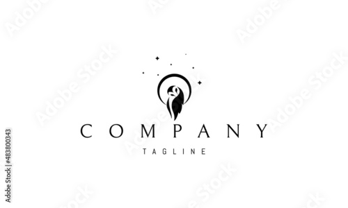 Vector logo on which an abstract image of a cute sleeping owl against the background of the moon. photo