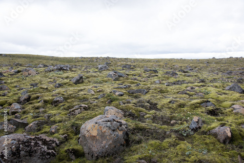 Green Grassy mountain Landscape in the highlands. Travel and nature on a beautiful cold day