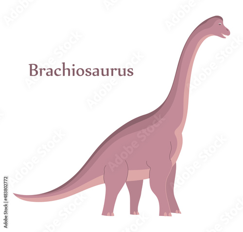 Big brachiosaurus with a long neck. Herbivorous dinosaur of the Jurassic period. Vector isolated cartoon illustration. White background