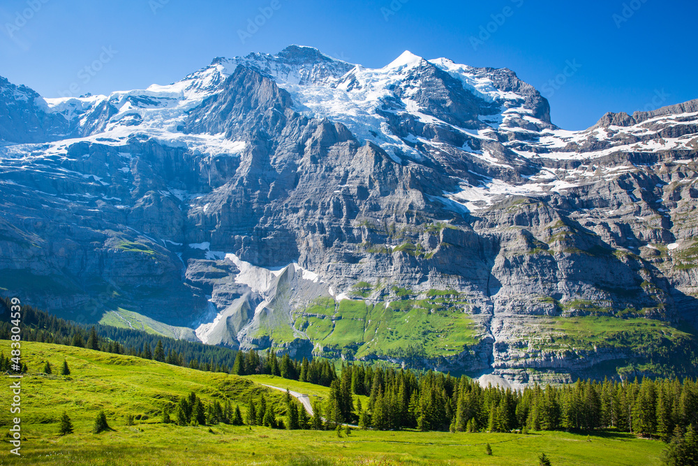 The stunning view of the alps from the cogwheel train, heading towards Jungfraujoch