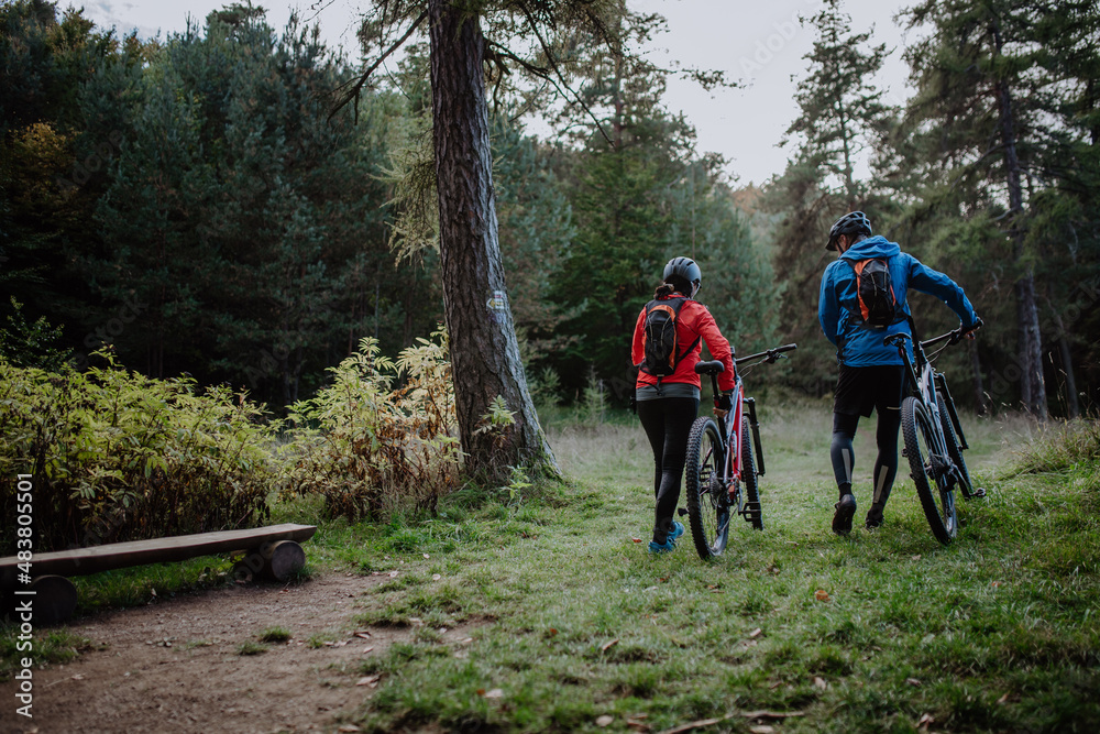Fototapeta premium Rear view of senior couple bikers walking and pushing e-bikes outdoors in forest in autumn day.
