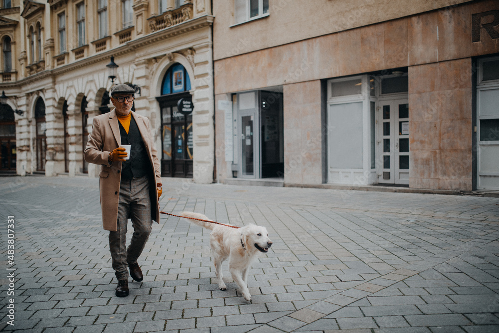 Elegant senior man with take away coffee walking his dog outdoors in city in winter. Elegant senior man with take away coffee walking his dog outdoors in city in winter.
