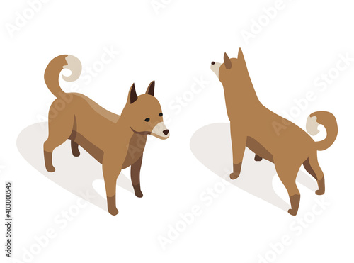 Farm animal isometric. Domestic animal in 3d flat back and front view. Cute game character of dog. Vector icon
